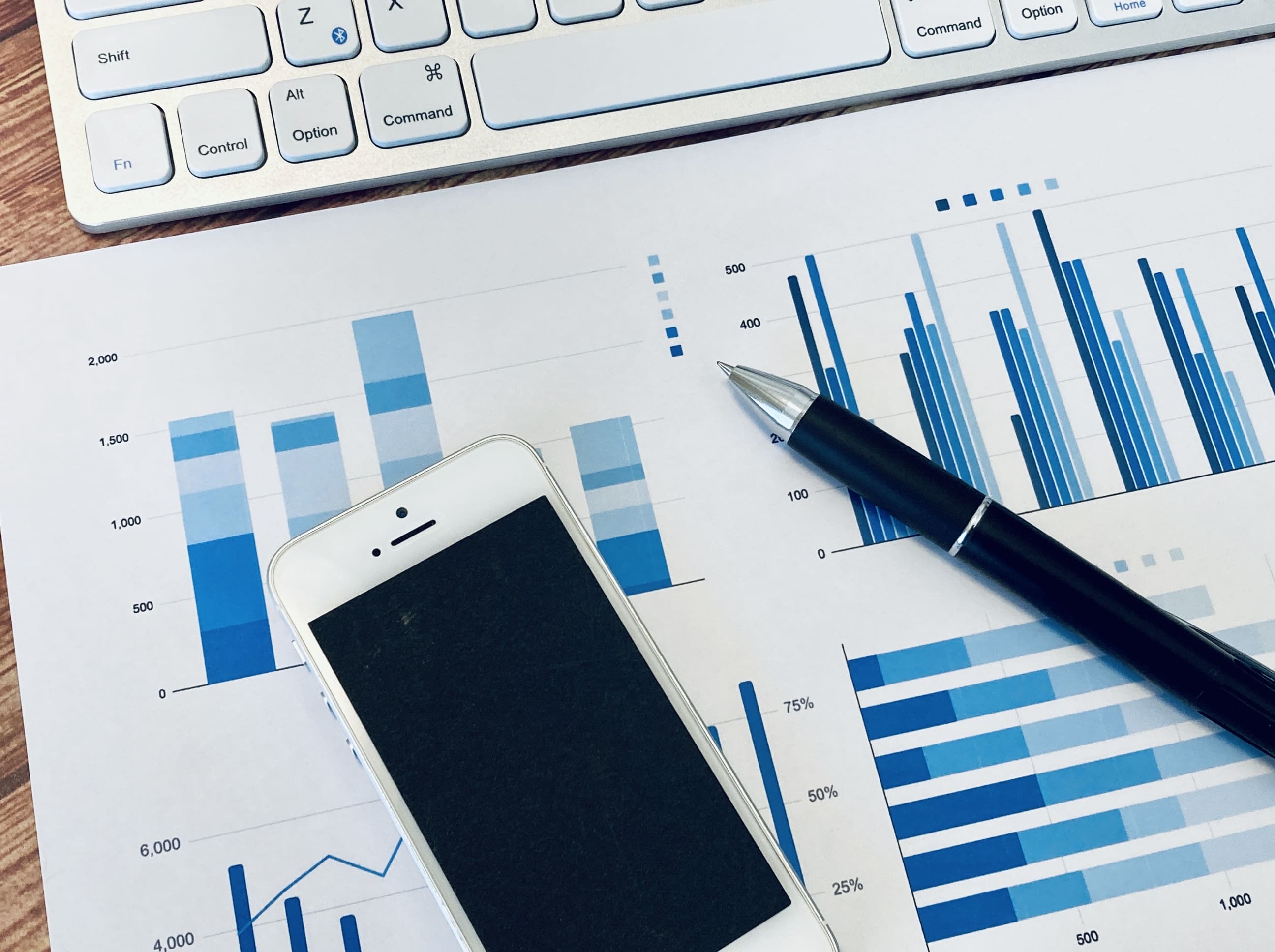 資料とグラフの写真（例）